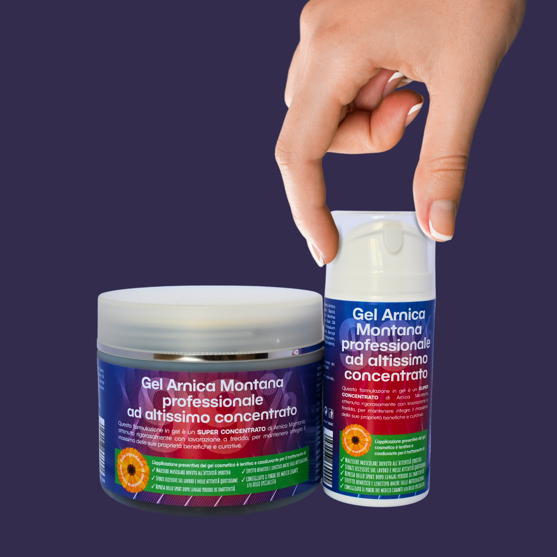 SABBATICAL ARNICA アルニカ Arnica – Secret Italy